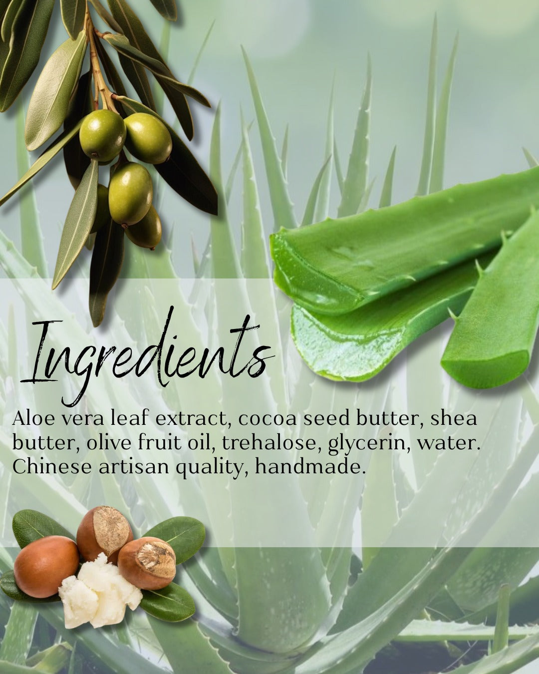 GIA BELLA DETOX SOAP ALOE VERA 